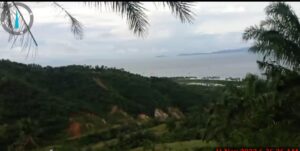 Ratusan Hektar Hutan Lindung di Lampung Selatan di Ubah Jadi Kebun Sawit