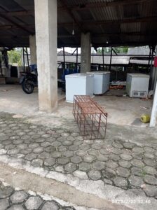 Kandang Babi di Sidowaluyo Lakukan Pemotongan Ilegal , Warga Keluhkan Bau Busuk