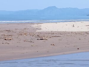 Pantai Pelabuhan Ratu Perlu Perhatian Pemerintah Catatan Dr. Suriyanto PD, SH, MH *)