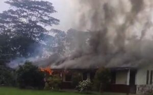 SDN 2 Mulyo Sari Hangus Akibat Kebakaran 