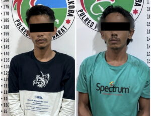 Sat Narkoba Polres Pesisir Barat berhasil Ungkap Kasus Penyalahgunaan Narkotika Jenis Sabu