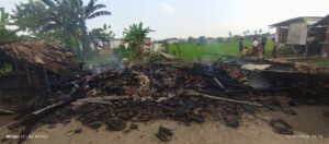 Rumah Warga Desa Fajar Baru Kecamatan Jati Agung Dilalap Jago Merah