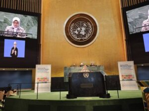 KETUA BPK MENYAMPAIKAN NATIONAL STATEMENT PADA GENERAL DEBAT ECOSOC HLPF 2024