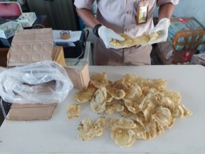 Karantina Papua Selatan Tahan Gelembung Ikan Tak Berdokumen