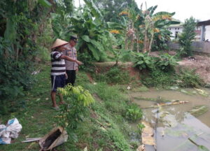 Ketahanan Pangan dengan Program Budidaya Lele