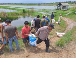 Mengantisipasi Banjir, Warga Bersama Bhabinkamtibmas dan Aparat Desa Bergotong-Royong Menahan Air Menggunakan Karung yang Diisi Tanah