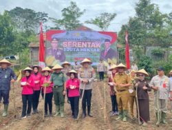 Pj. Bupati Lampung Barat Lakukan Penanaman Jagung Serentak Satu Juta Hektar