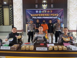 Polisi Tangkap Pengedar 76 Kg Ganja dan Pemilik Senjata Api Ilegal