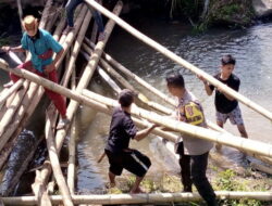 Jembatan Penghubung Lima Dusun Di Pekon Kedaung Mulai Diperbaiki