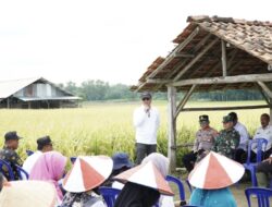 Bupati Novriwan Terapkan Sistem Pertanian Berkelanjutan Dalam Upaya Mendukung Program Ketahanan Pangan Nasional