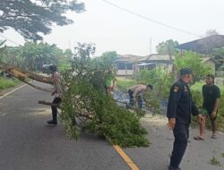 Dukung Keselamatan Arus Mudik, Personil Pos PAM Polres Lampung Timur Bersihkan Dahan Pohon