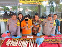 Pedagang Sepatu di Bandar Lampung Ditangkap Polisi, Jual Puluhan Pipa Gading Rokok Terbuat dari Gading Gajah