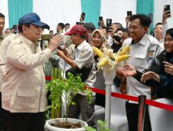 Luncurkan Gerakan Indonesia Menanam (Gerina), Presiden Apresiasi Partisipasi Aktif Wujudkan Ketahanan Pangan Nasional