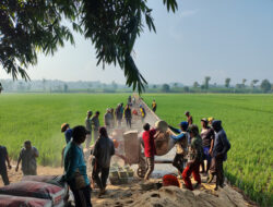 Semangat Bersama, Warga Dusun Sabah Desa Sukadana Gotong Royong Bangun Jalan Persawahan