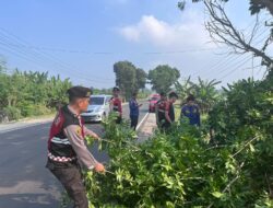 Cegah Bahaya di Jalan, Polisi Tebang Pohon Rawan Tumbang di Jalan Lintas Sumatera