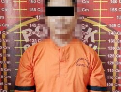 Kerugian 36 Juta, Buronan Pencurian Ternak di Kebun Sawit Plasma PT SIP Ditangkap