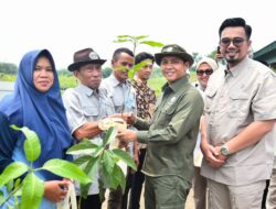 17 Juta Bibit Diberikan Gratis Untuk Masyarakat Hingga Akhir 2025
