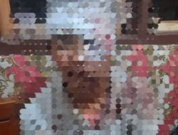 Polsek Bandar Sribhawono Ungkap Kasus Curanmor, 1 Pelaku Diamankan