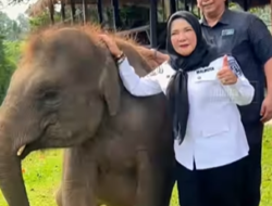 Walikota Eva Dwiana : Konservasi Taman Lembah Hijau, Edukasi dan Hiburan Jadi Satu