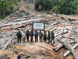 Kemenhut Beri Tanggapan Temuan Kayu Terbawa Banjir : Melalui Ditjen Gakkumhut Moratorium Tata Usaha Kayu Untuk PHAT, Hentikan Modus Pencucian Kayu Ilegal Kejahatan Illegal Logging