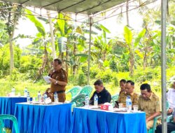 Pemkab Pesawaran Bersama Paguyuban Kelompok Tani Kakao, Gelar Penanaman Perdana Kakao di Desa Karang Rejo