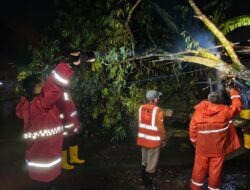 Siaga Bencana, Polres Metro Tanggap Tangani Pohon Tumbang di Metro Barat