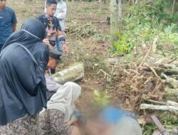 Polisi Identifikasi Korban Meninggal Dunia Tertimpa Pohon di Kebun Warga