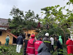 Polres Lampung Utara Evakuasi Pohon Tumbang di Desa Cempedak