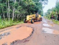 DPUPR Tubaba Lakukan Pemeliharaan dan Perbaikan Sejumlah Ruas Jalan