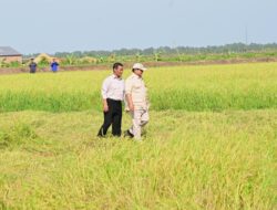Pemerintah Melalui Kementan Tegaskan Kesiapan Indonesia Hadapi El Nino, Stok Beras Tertinggi Sepanjang Sejarah