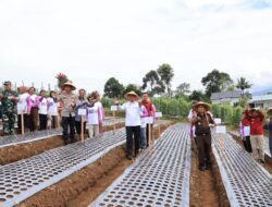 Pemerintah Lampung Barat Mulai Siapkan Salah Satu Wilayah Jadi Sentra Bawang Putih
