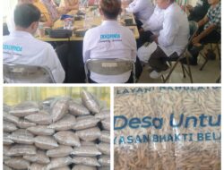 Mendukung Program Ketahanan Pangan Lampung Selatan, Bibit Padi PS-08 Tersebar di 17 Kecamatan 